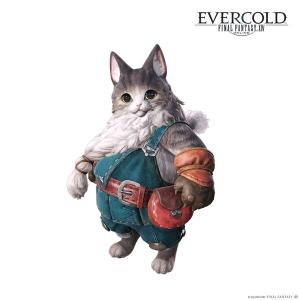 File:Evercold new non-playable races.jpg