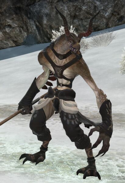 File:Ixali Frostbeak.jpg