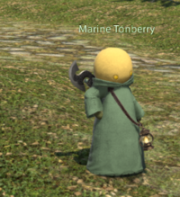 Marine Tonberry.png