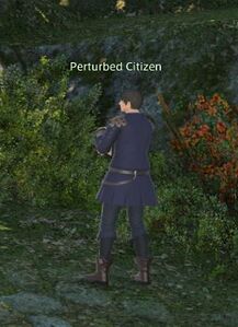 Perturbed Citizen