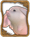 Porxie Card