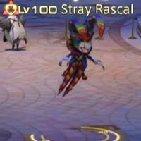 Stray Rascal.jpg