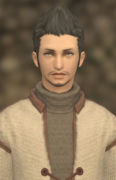 File:Bibulous Bloke.jpg