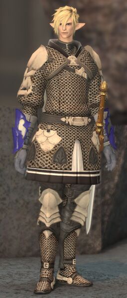 File:Wounded Temple Knight fullbody.jpg