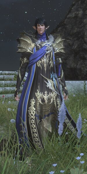 File:Aymeric DS.jpg
