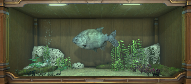 File:Colossoma tank 1.png