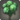 Green hydrangeas icon1.png