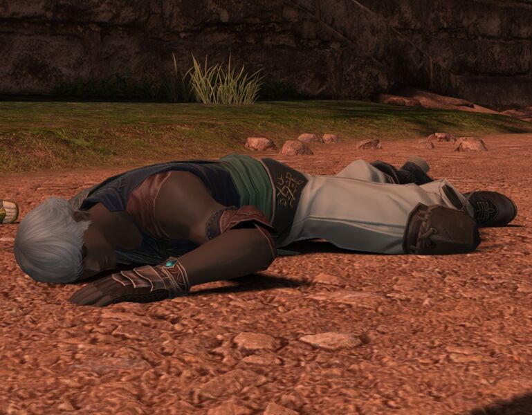 File:Collapsed Hyur fullbody.jpg
