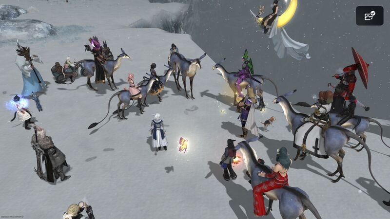 File:Does upon does.jpg