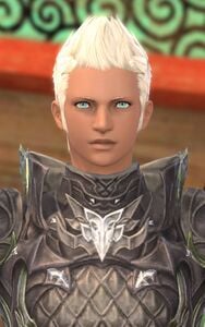 Radiant Soldier