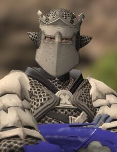 Temple Knight