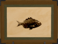 Sand Bream print.png