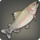 Trailtrout icon1.png