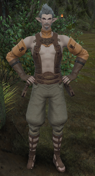 File:Disorderly Adventurer (Northwest).png