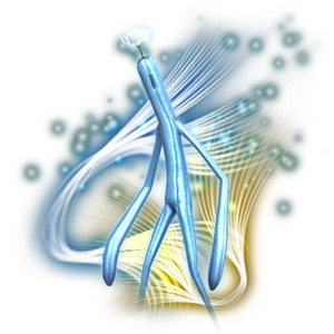 Sabotender De La Luna