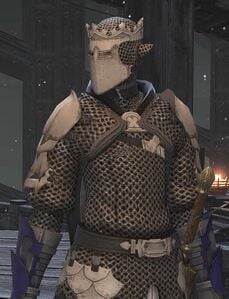 Pestered Temple Knight
