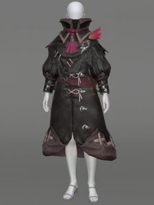 Augmented Wizard's Coat