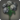 Black hydrangeas icon1.png