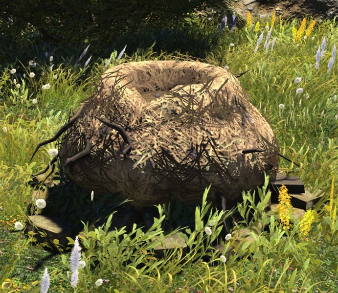 File:Gastornis Nest.jpg