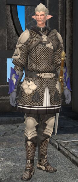 File:Temple Knight Gateguard fullbody.jpg