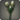 White tulips icon1.png