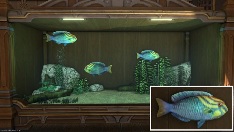 File:Aquarium Preview Ka Puhyu.jpg