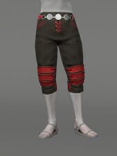 Warrior's Breeches