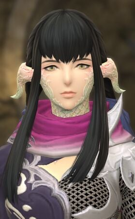 Portrait for Stormblood