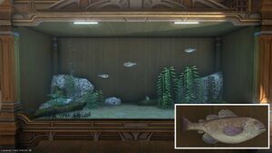 Four Tiger Cods in a Tier 4 Aquarium with a close-up.