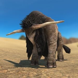 Buffalo