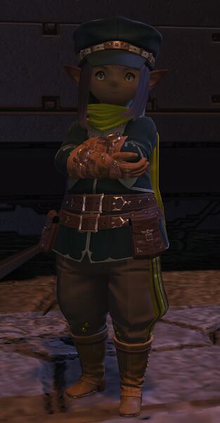 File:Cargo Operator.jpg