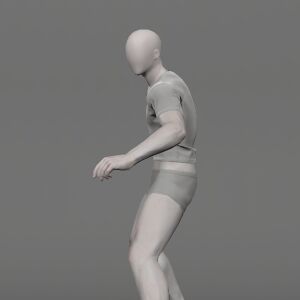 Heroic Spirit Shield