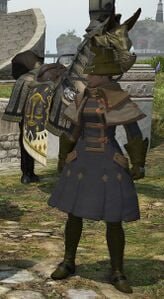 Immortal Flames Rider