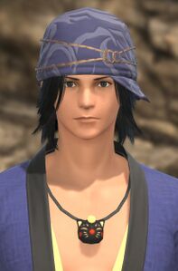 Industrious Pirate