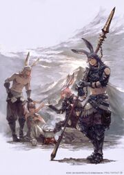 Viera - Final Fantasy XIV A Realm Reborn Wiki