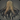 Whisperroot