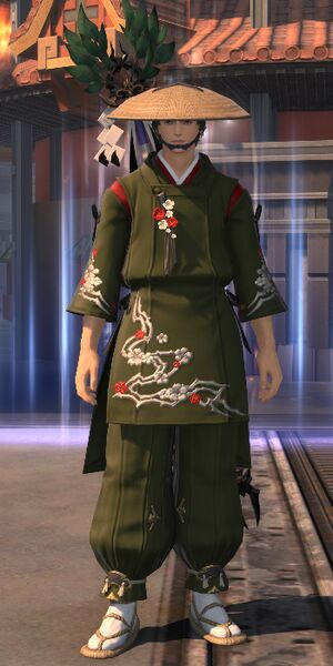 File:Doman Shaman DS.jpg