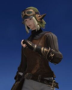 Lively Skyfarer