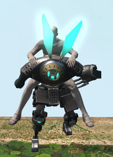 File:Traveling Supporter front.jpg