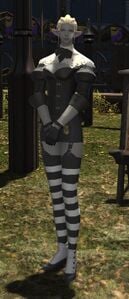 Continental Circus Publicist