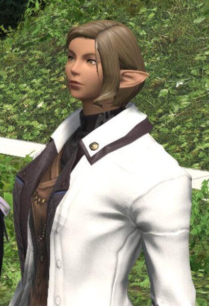 File:Distracted Researcher.jpg