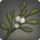 West bank mistletoe icon1.png