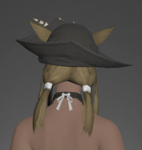 Hat of the Divine Light rear.png