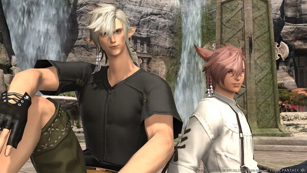Hairstyles - Final Fantasy XIV A Realm Reborn Wiki - FFXIV / FF14 ARR