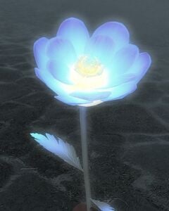 The Flower in Blue, during In from the Cold