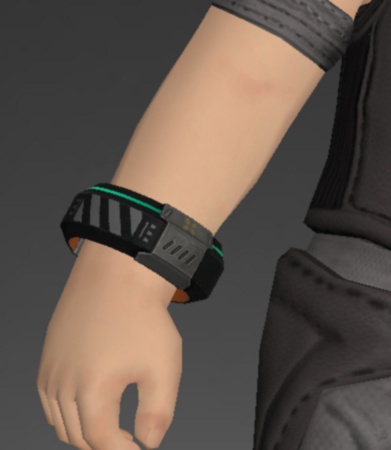 Cruiser Accessories / Babyface Champion's Accessories