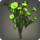 Green morning glories icon1.png