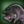 Wild Boar icon1.png