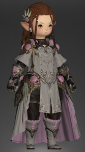 Courtly Lover's Armor