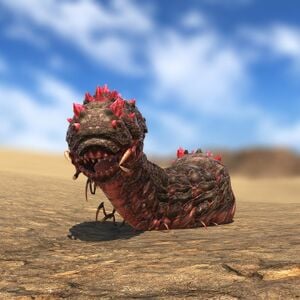 Worm Glamoured